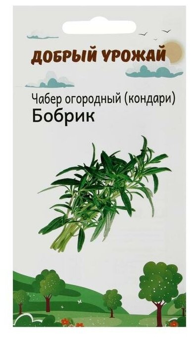Семена Чабер огородный Бобрик 0,3 гр