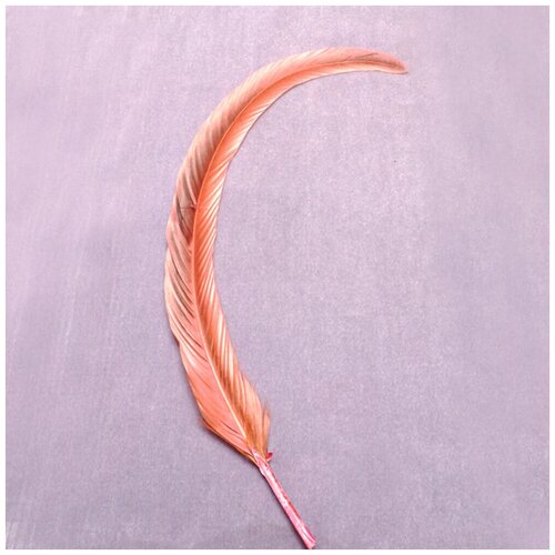 Перо петуха (натуральное перо), 25-30 см, розовое, 5 штук в упаковке, для бальных танцев, для украшения одежды, для рукоделия