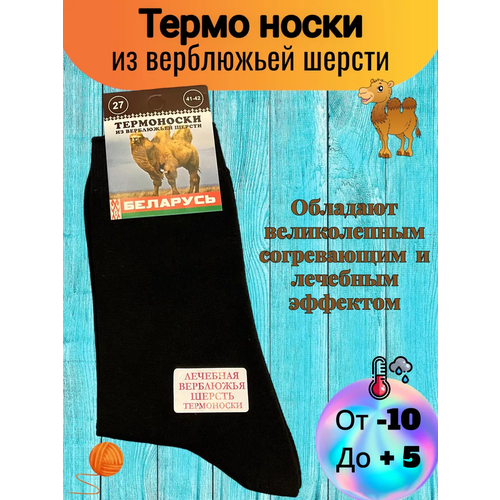 фото Носки , 10 пар, размер 29, черный беларусь
