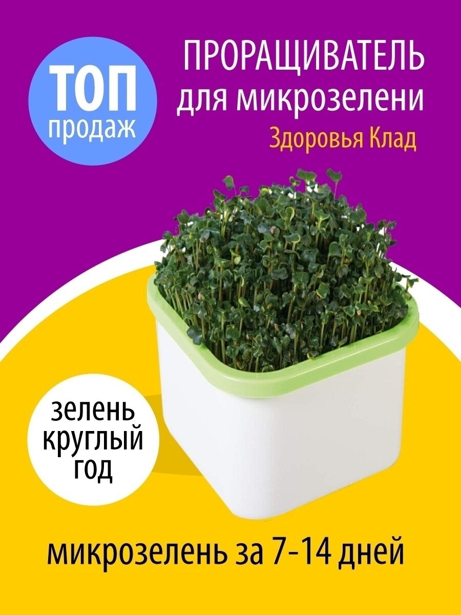 Аэросад мощный Здоровья Клад проращиватель семян выращиватель лука зимой на подоконнике