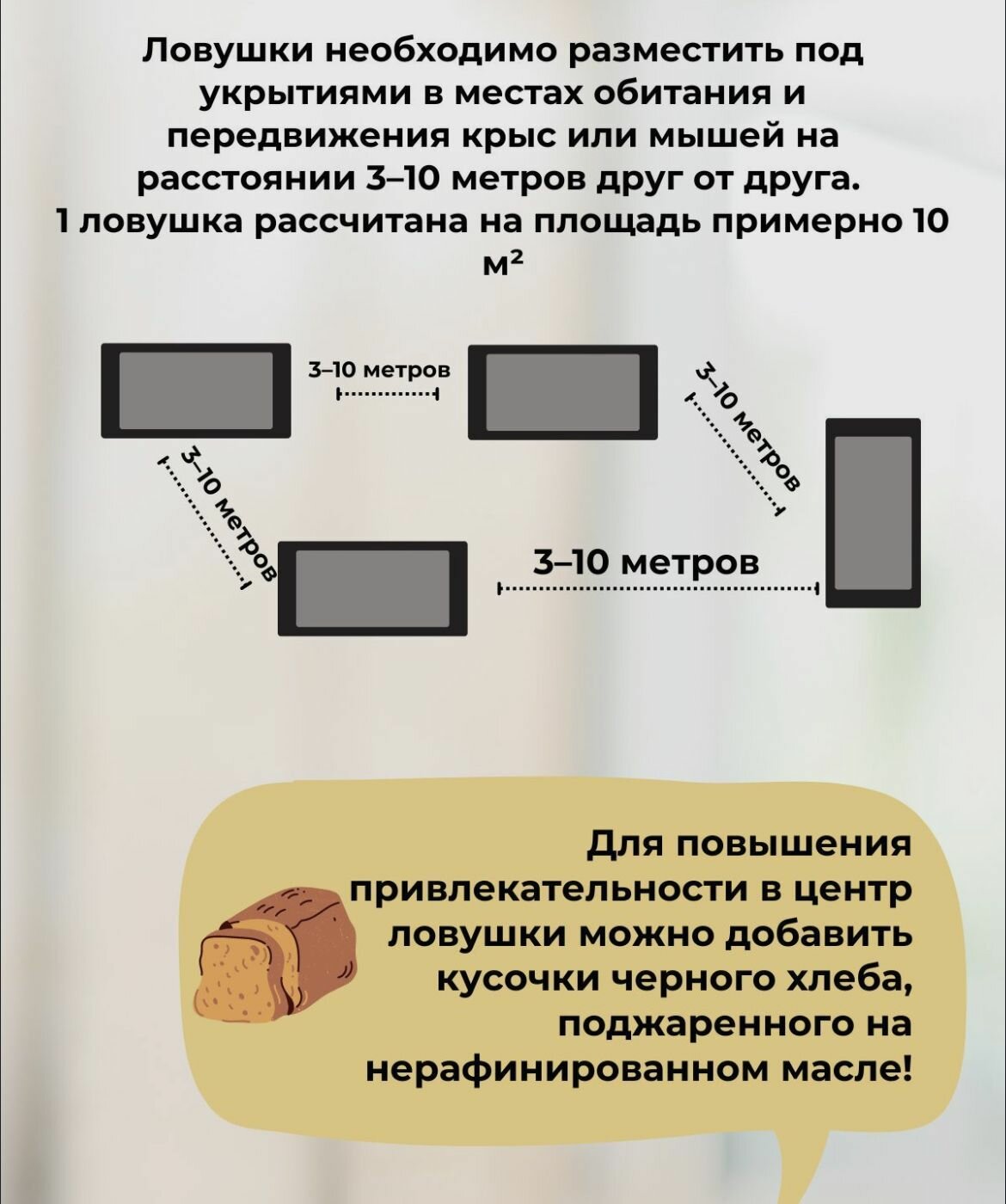 клеевая книжка-ловушка от грызунов - фотография № 4