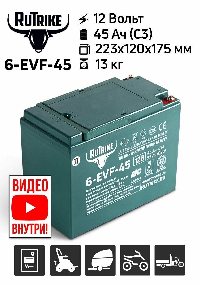 Тяговый AGM аккумулятор RuTrike 6-EVF-45 (12V45A/H C3)