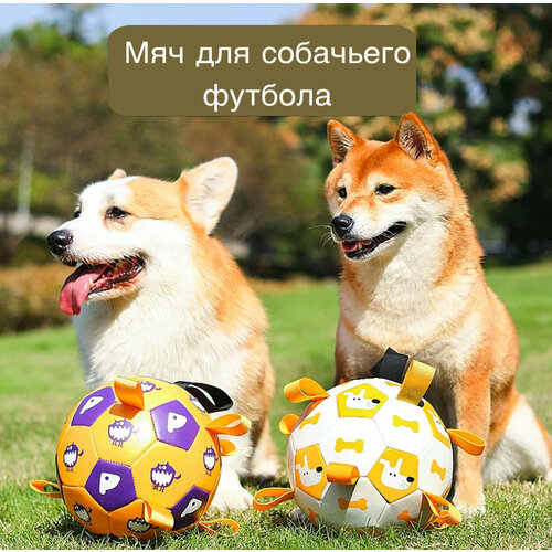 Футбольный мяч для собак