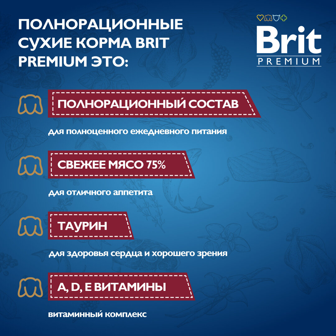 Влажный корм для собак. Пауч для взрослых собак всех пород, Мясное ассорти в соусе, 85г, 14 шт BRIT PREMIUM — фото 1
