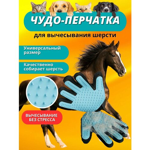 Sweethorse / Рукавичка для чистки животных