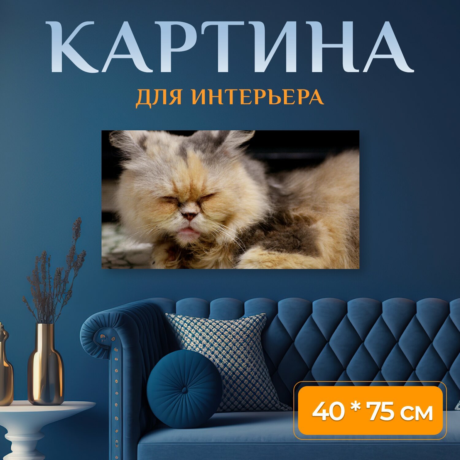 Картина на холсте "Кошка, домашний питомец, котенок" на подрамнике 75х40 см. для интерьера