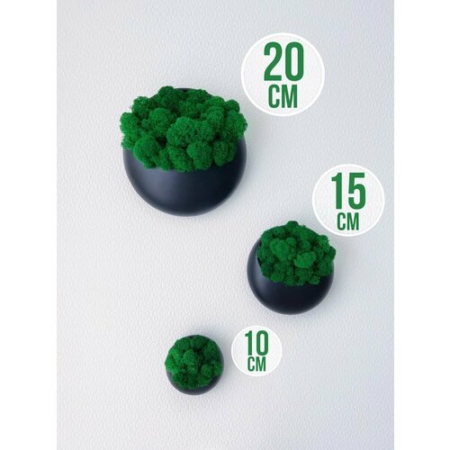 Кашпо на стену со стабилизированным мхом декор панно украшения для дома Molecula Decor черный набор 3 шт 3000₽