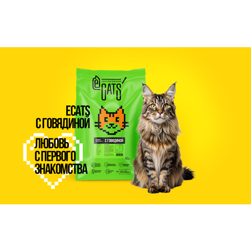 Корм сухой ECATS для кошек с говядиной, 10кг корм для кошек лапка 350г с говядиной