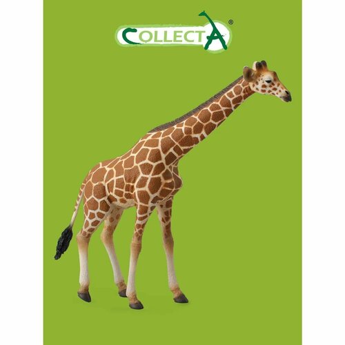 Фигурка животного Collecta Сетчатый жираф