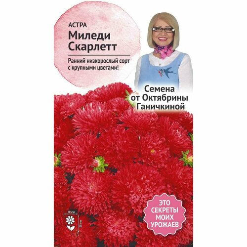 Астра семена октябрина ганичкина Миледи скарлетт астра семена октябрина ганичкина башня жёлтая