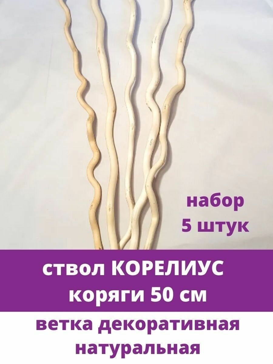 Ствол корелиус, ветка декоративная натуральная для топиария и композиций, 50 см, набор 5 шт.