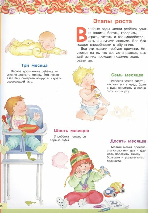 Книжка с наклейками. Моя первая энциклопедия. Тело человека - фото №4