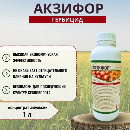 Акзифор, КЭ контактный гербицид для подавления сорной растительности в посевах лука и подсолнечника, 1 л