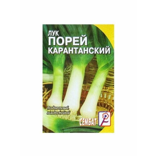 Семена Лук порей Карантанский, 0,2 г семена лук порей карантанский поздний 1 г 2 шт