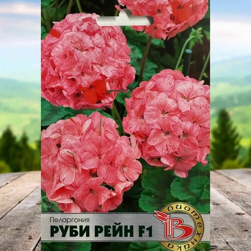 Семена цветов для дома и сада Пеларгония Руби Рейн F1