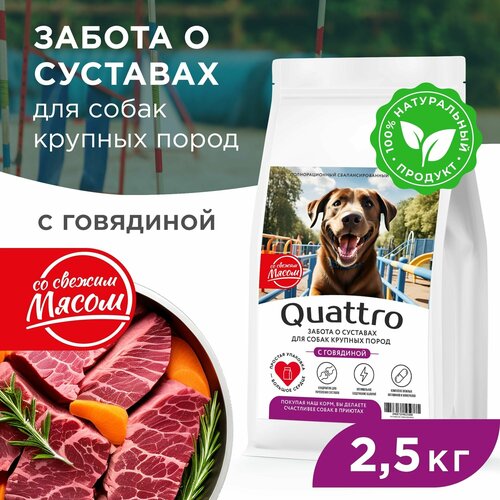 Корм сухой для взрослых собак крупных пород, премиум полнорационный комплекс, забота о суставах, с говядиной, 2,5 кг, QUATTRO