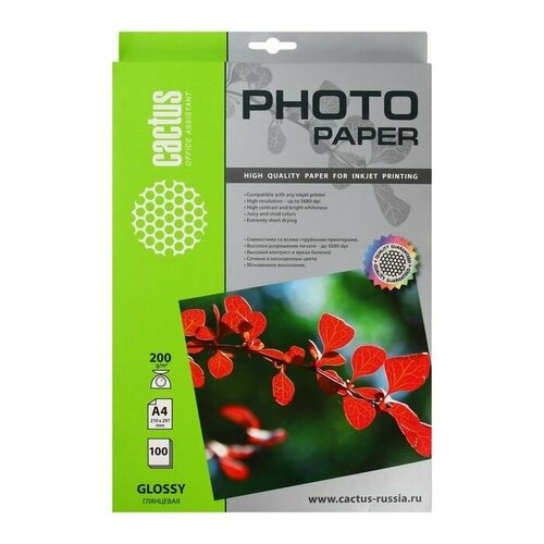 Фотобумага для струйной печати А4 100 листов 200 гм2 односторонняя глянцевая 3180₽