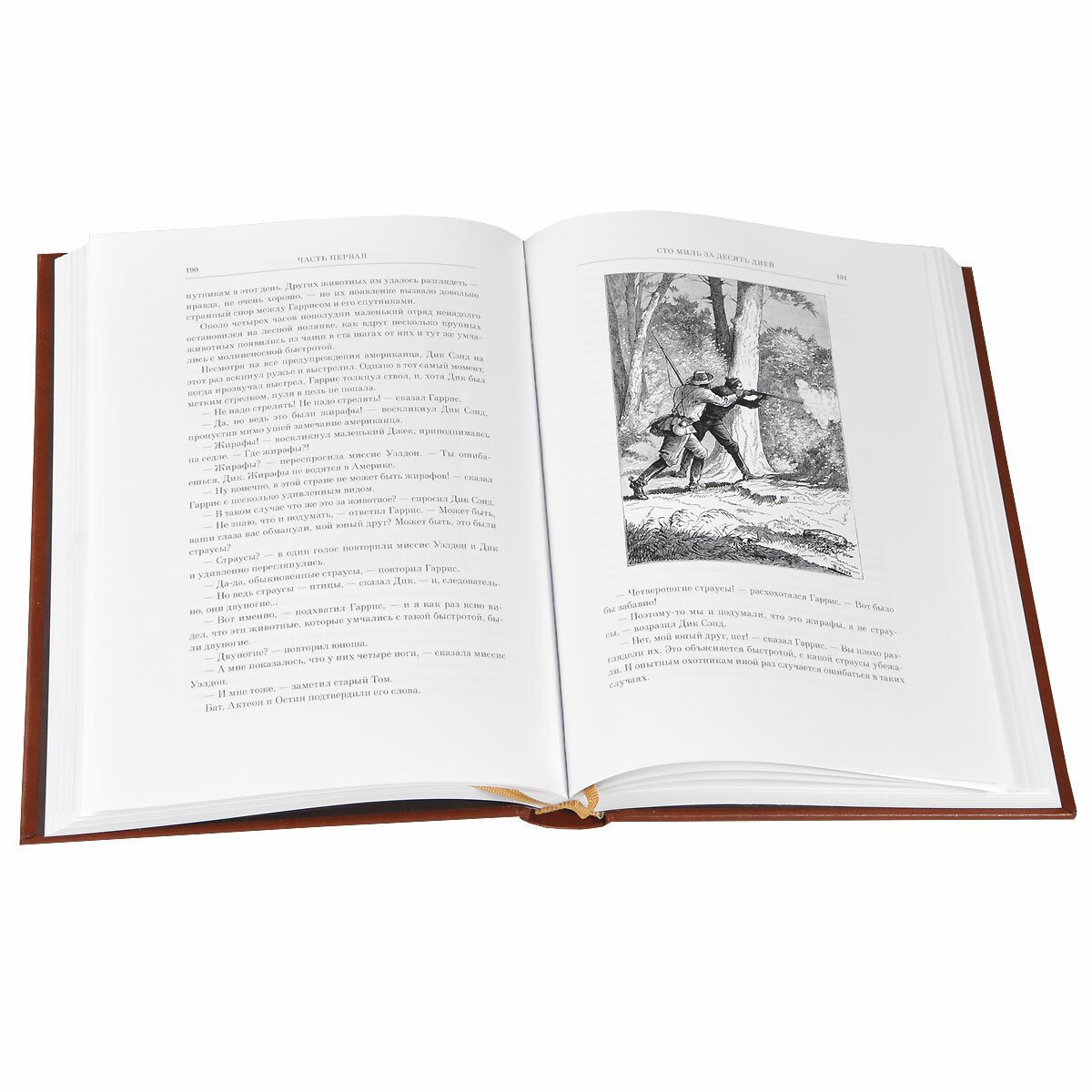 Пятнадцатилетний капитан — фото 1