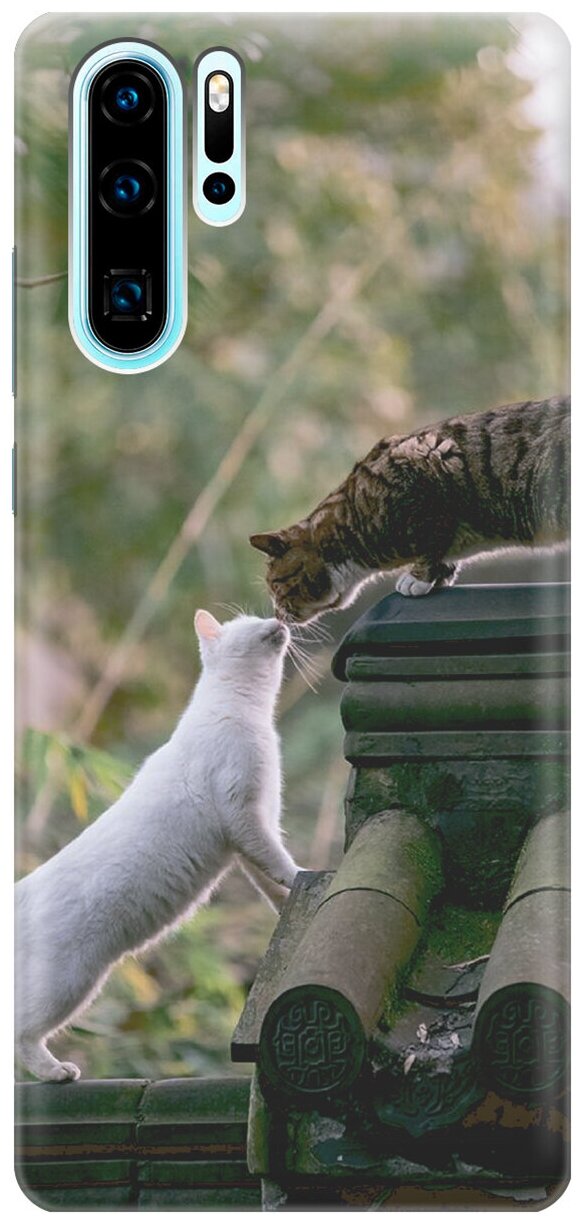 Силиконовый чехол Знакомство кошек на Huawei P30 Pro / Хуавей П30 Про