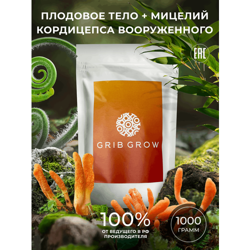 Кордицепс вооруженный плодовое тело + мицелий Grib Grow - 1 кг