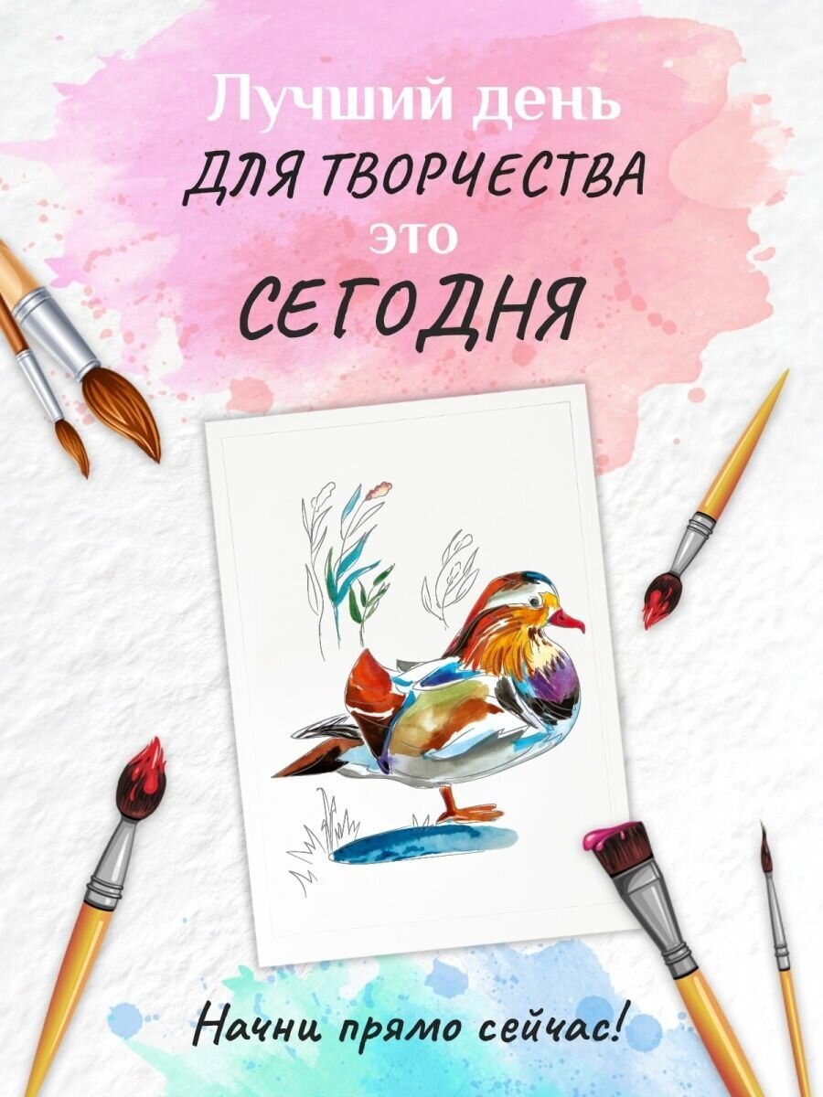 Раскраска-эскиз Птицы, 10 листов, А4 АРТформат - фото №5