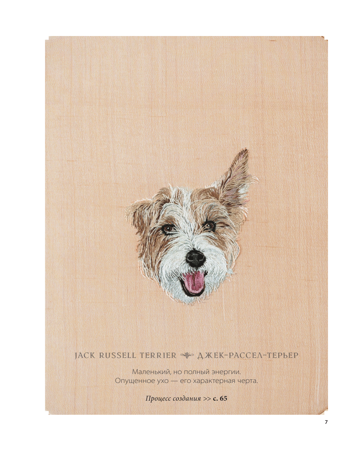 Портретная вышивка. Самоучитель по «рисованию» собак вышивальной иглой (чихуахуа) - фото №6