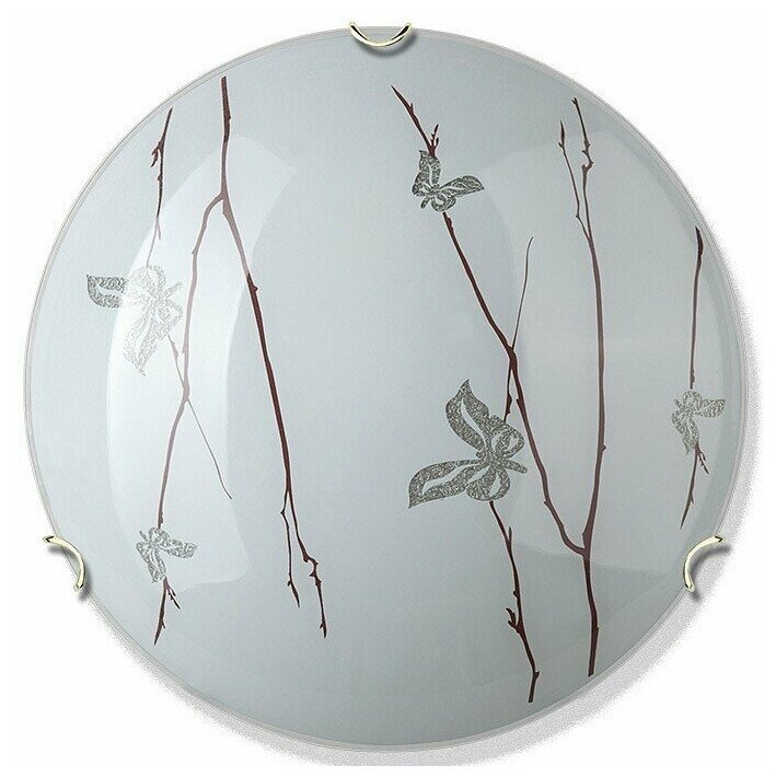 фото Настенно-потолочный светильник Vitaluce V6411/2A