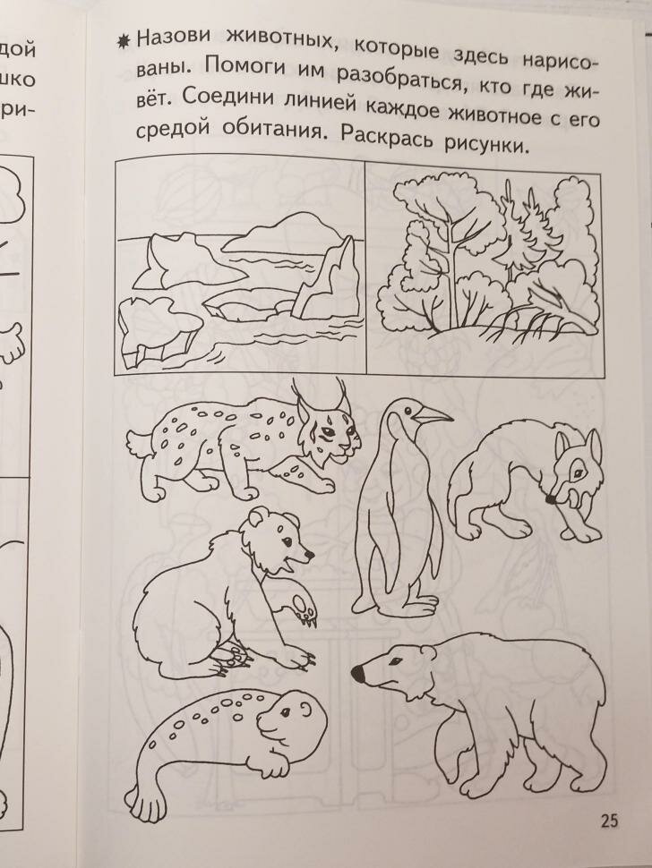 Знакомимся с окружающим миром. Рабочая тетрадь для детей 4-5 лет - фото №16
