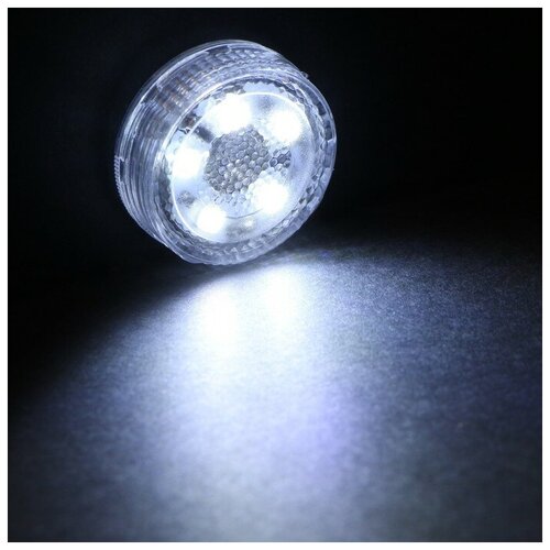 Светильник светодиодный Torso, автомобильный, 5 LED, d 3 см, белый./В упаковке шт: 1