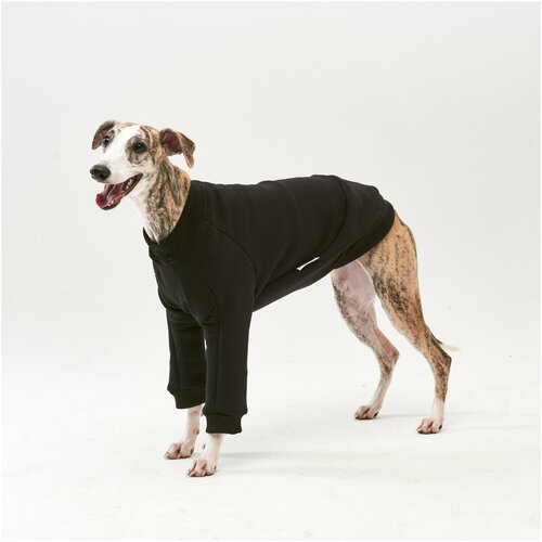 WOOFLER / Свитшот теплый для левретки, толстовка из футера, подходит для борзых, одежда для собак средних пород, цвет черный, размер S40 брелок для собак фараонова собака
