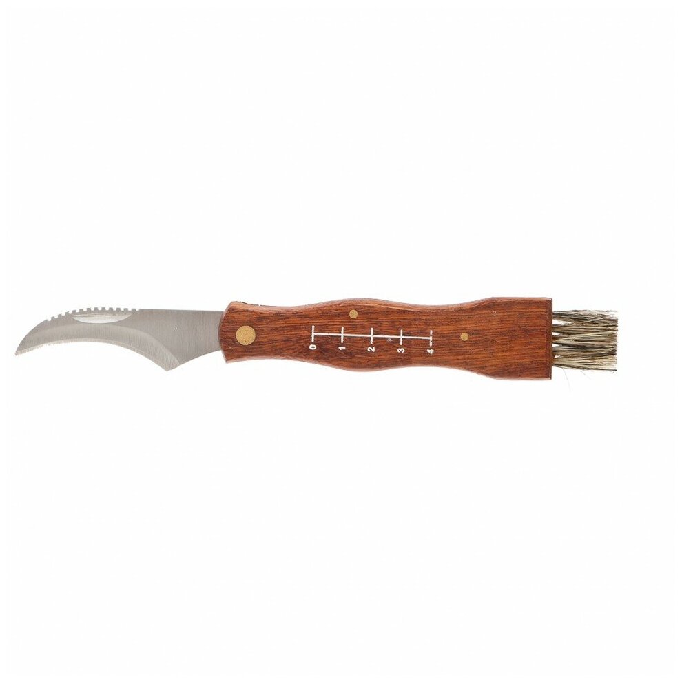 Нож грибника складной Palisad 185 мм, деревянная рукоятка 79005