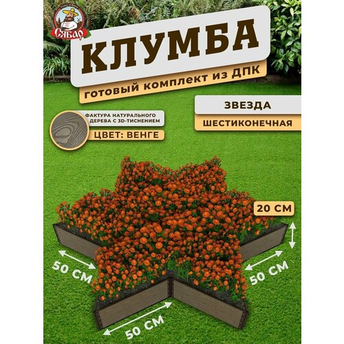 Клумба дпк высокая