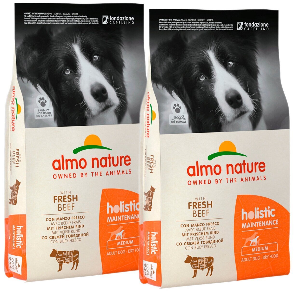 ALMO NATURE ADULT DOG MEDIUM BEEF & RICE для взрослых собак средних пород с говядиной и рисом (12 + 12 кг)