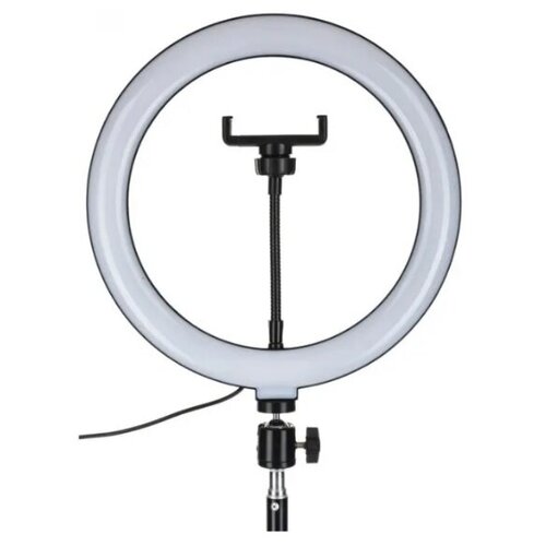 Кольцевая селфи-лампа Лампа кольцевая 199900₽