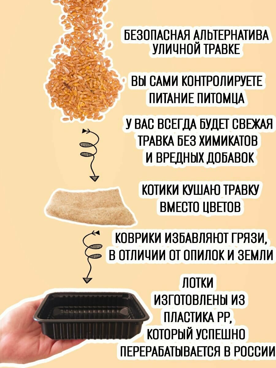 Трава для кошек в лотке набор - фотография № 3