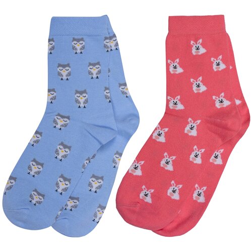 фото Комплект из 2 пар детских носков брестские (бчк) микс 19, размер 23-24