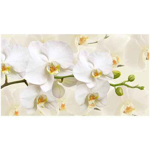 Фотообои Уютная стена Белоснежные орхидеи 490х270 см Виниловые Бесшовные (единым полотном)