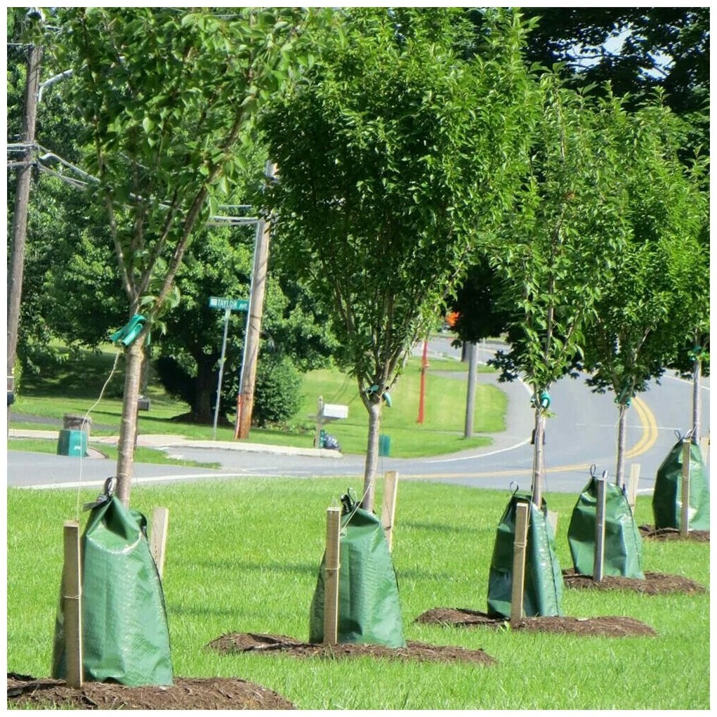 Мешок для самополива деревьев, для капельного орошения деревьев GreenBag - фотография № 1