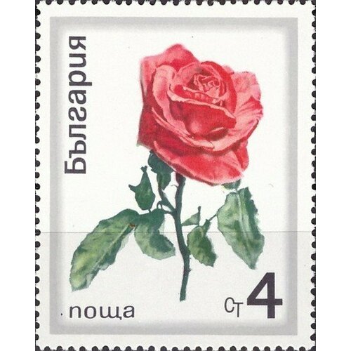 (1970-031) Марка Болгария Садовая роза Розы II Θ 1970 033 марка болгария роза с бутонами розы i θ