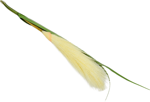 Растение искусственное Ковыль белый h53 см
