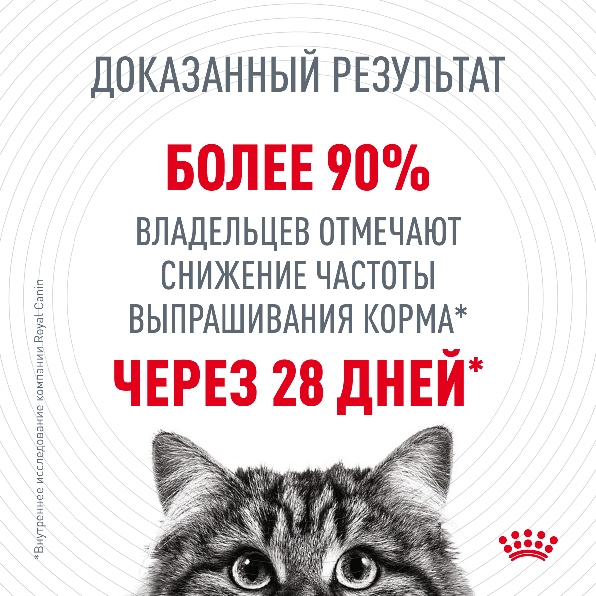 Сухой корм для кошек Royal Canin Appetite Control Care 2 кг - фото №4