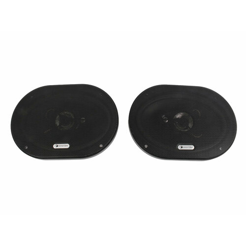 Колонки коаксиальные PHANTOM FS-693 6х916х23см 100Вт 5381₽