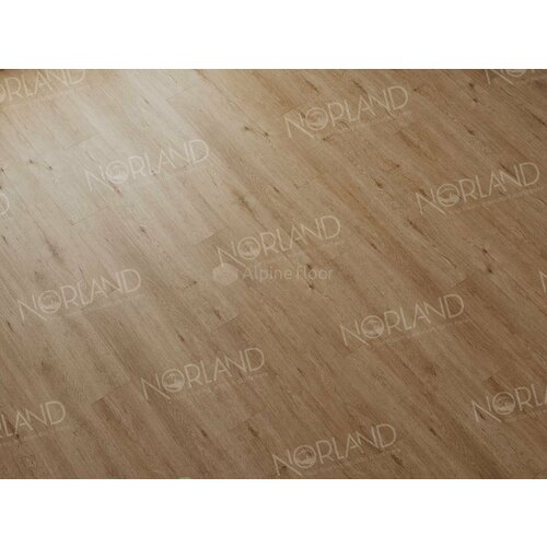 Norland Sigrid LVT Abbi 1003-1