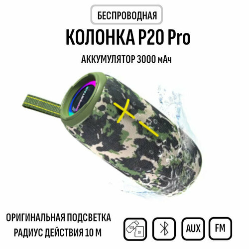 Bluetooth колонка HOPESTAR P20 Pro 460000₽