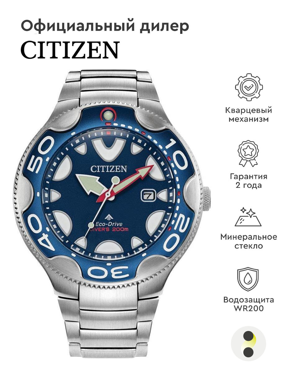 Наручные часы CITIZEN BN0231-52L