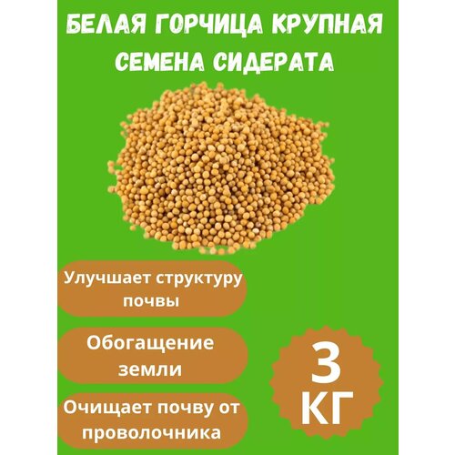 Семена горчицы сидерат 3 кг