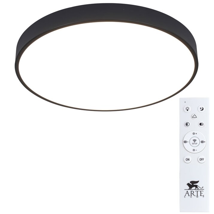 Светильник потолочный светодиодный Arte Lamp Arena A2672PL-1BK