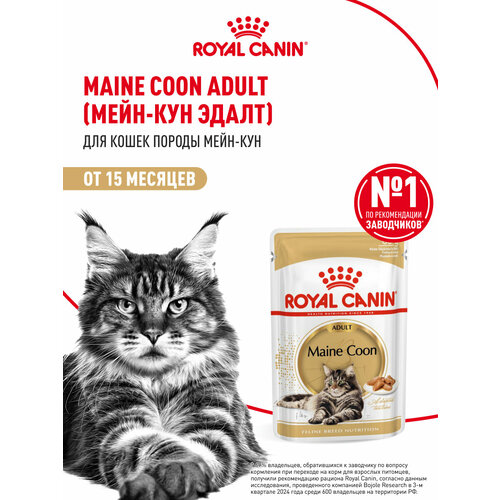 Влажный корм для кошек Royal Canin Adult для породы мейн кун кусочки в соусе, 28 шт по 85 г