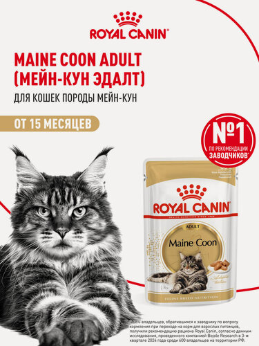 Изображение товара Влажный корм для кошек Royal Canin Adult для породы мейн кун кусочки в соусе, 28 шт по 85 г