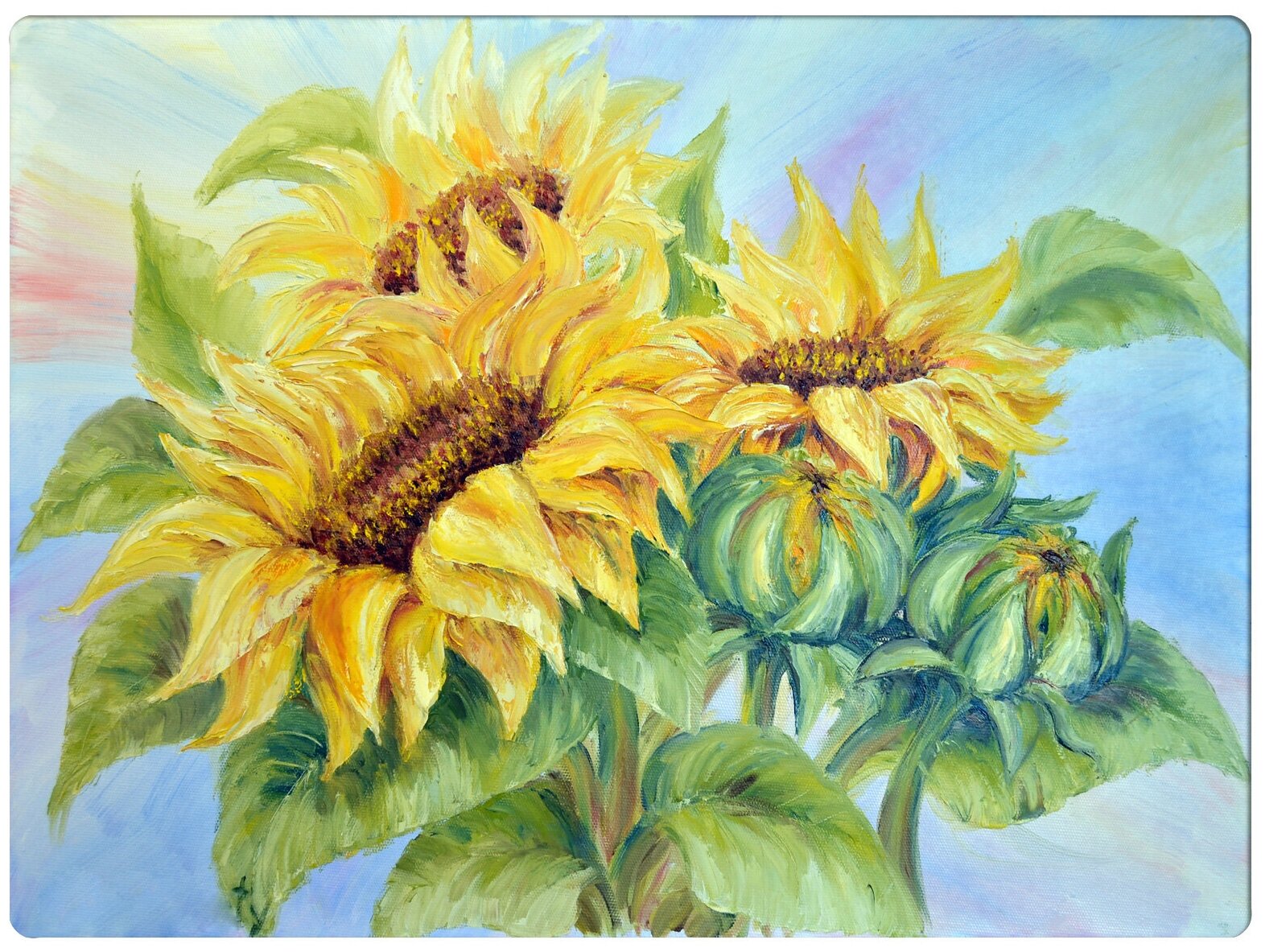 фото Подставки на пробке Подсолнухи 40х29 см (4шт)